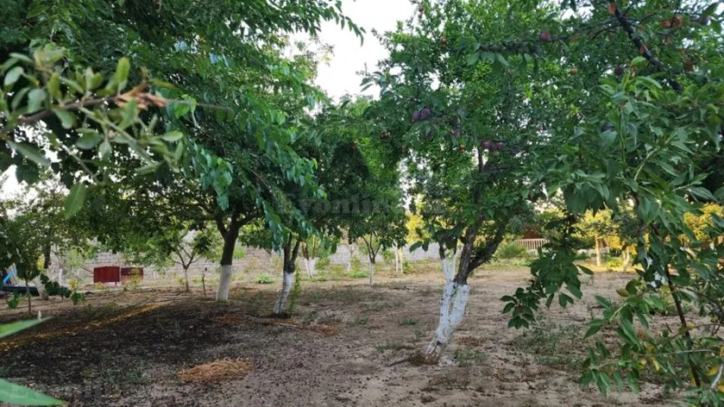 Satılır Torpaq 24 sot Sabunçu r. - şəkil 8