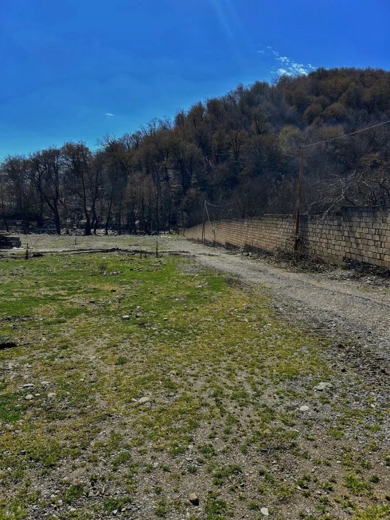 Satılır Torpaq 9.5 sot Qəbələ - şəkil 2