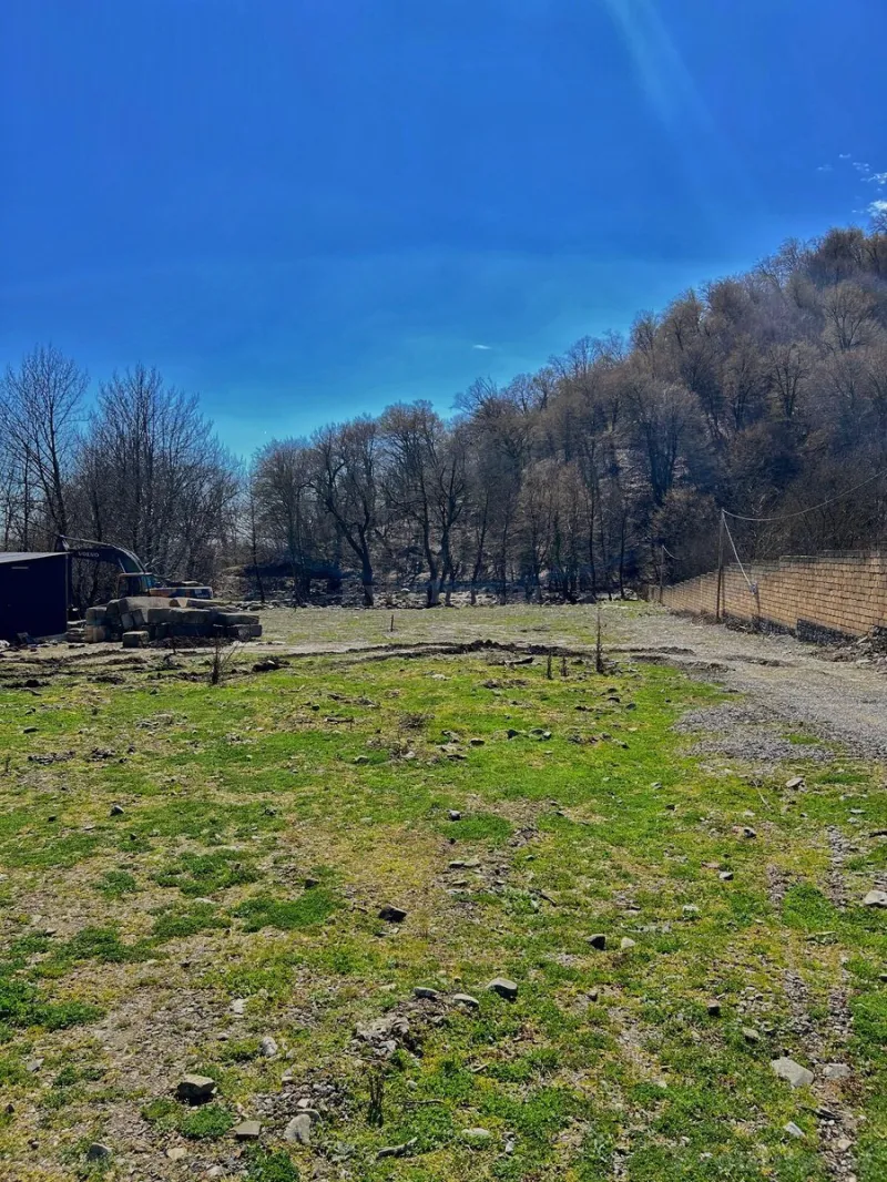 Satılır Torpaq 9.5 sot Qəbələ - şəkil 3