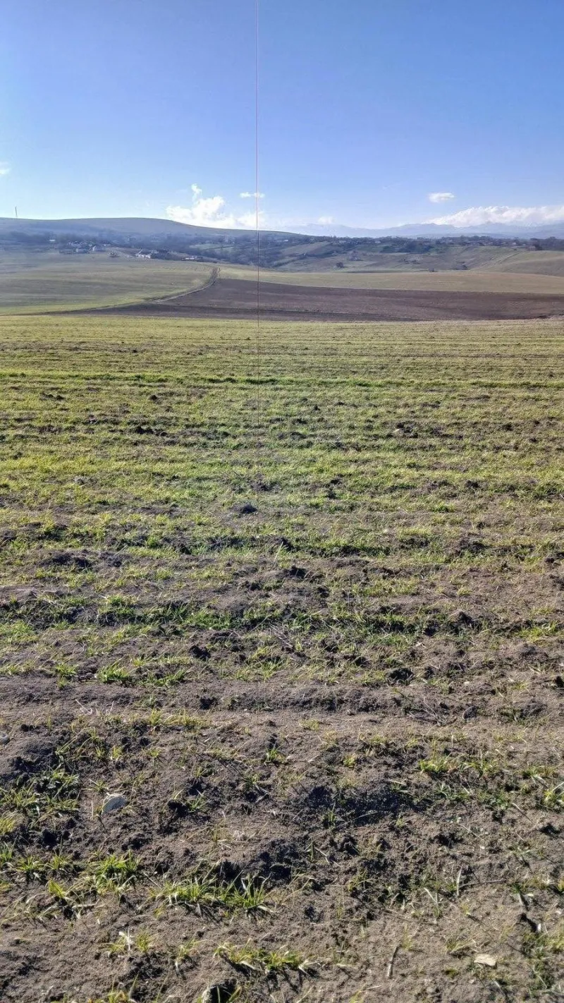 Torpaq Şamaxı Satılır