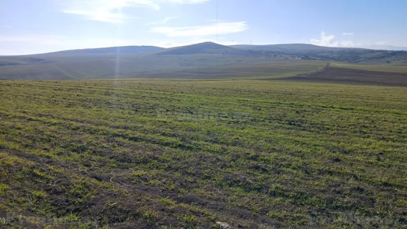 Satılır Torpaq 100 sot Şamaxı - şəkil 5