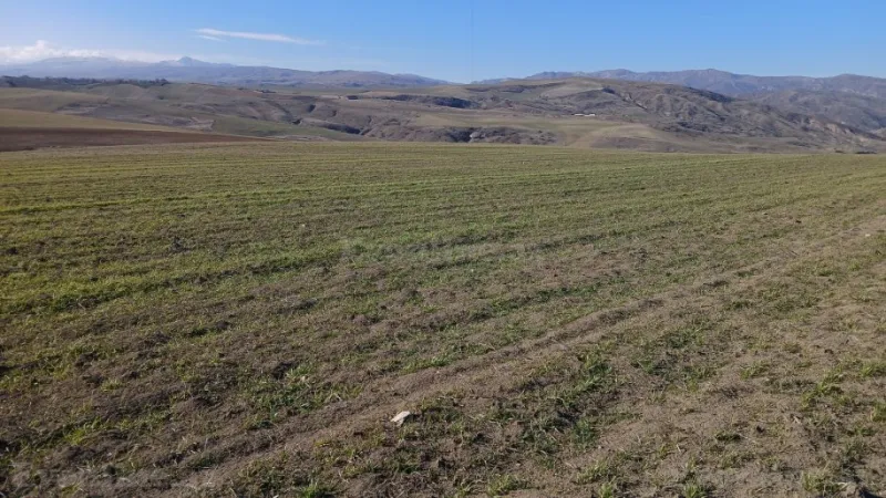 Satılır Torpaq 100 sot Şamaxı - şəkil 6