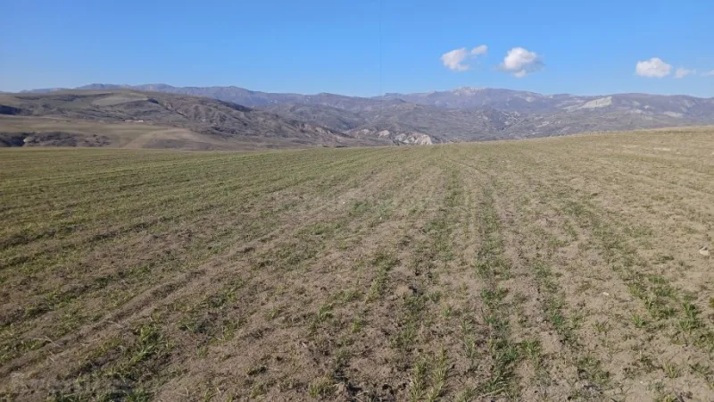 Satılır Torpaq 100 sot Şamaxı - şəkil 8