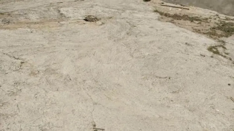 Bakı, Binəqədi r.da torpaq satılır