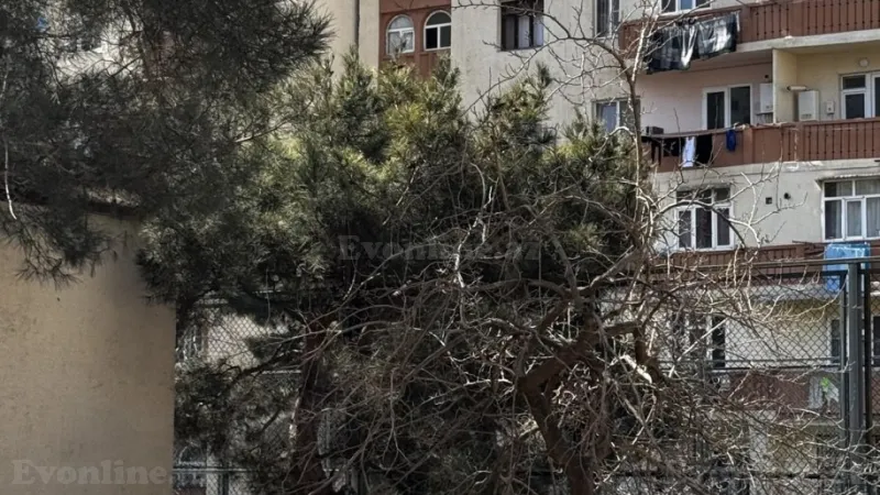 Satılır 2 otaqlı Mənzil Köhnə tikili 55 m² Massiv V - şəkil 3