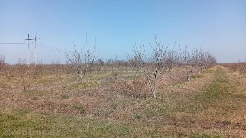 Satılır Torpaq 150 sot Xaçmaz - şəkil 2