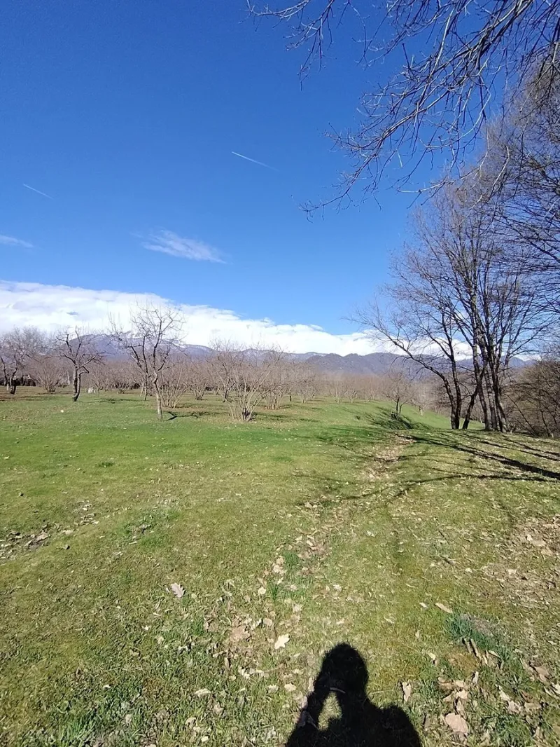 Torpaq Qəbələ Satılır