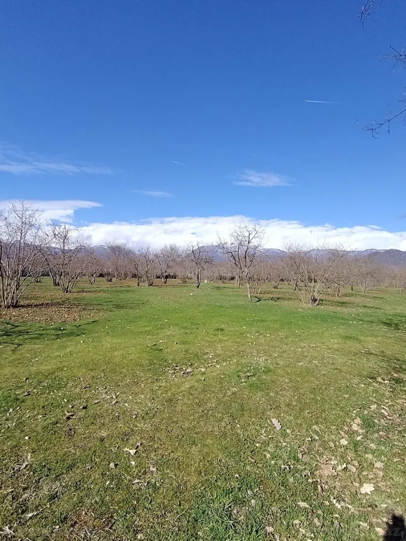 Satılır Torpaq 4 sot Qəbələ - şəkil 5