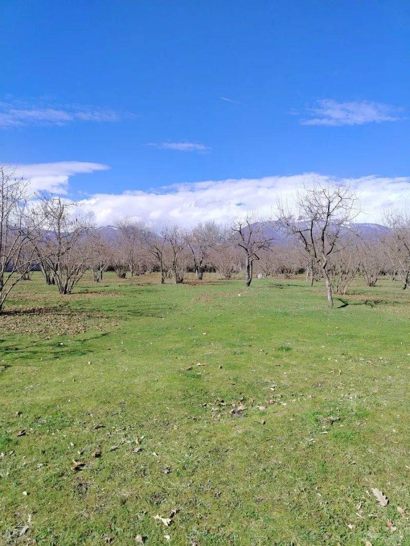 Satılır Torpaq 4 sot Qəbələ - şəkil 6