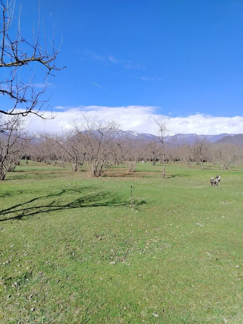 Satılır Torpaq 4 sot Qəbələ - şəkil 8