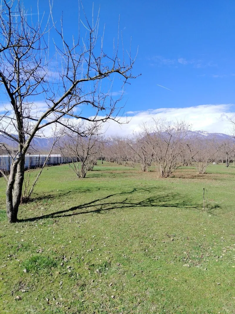 Satılır Torpaq 4 sot Qəbələ - şəkil 9