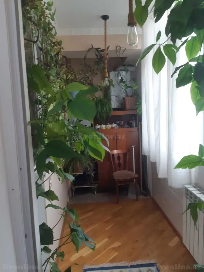 Kirayə verilir 2 otaqlı Mənzil Yeni tikili 50 m² Abşeron r.