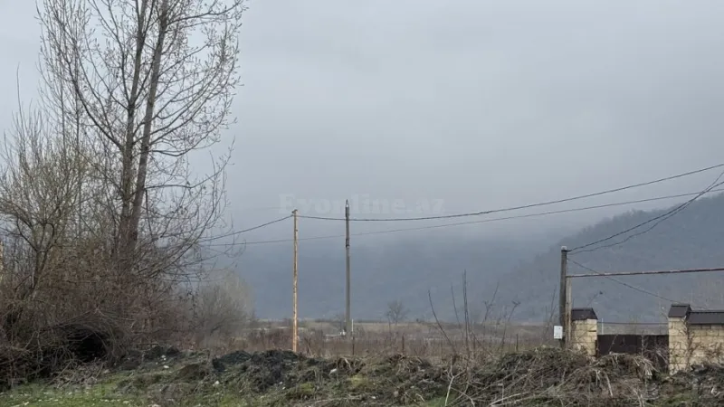 Satılır Torpaq 6 sot Qəbələ - şəkil 4