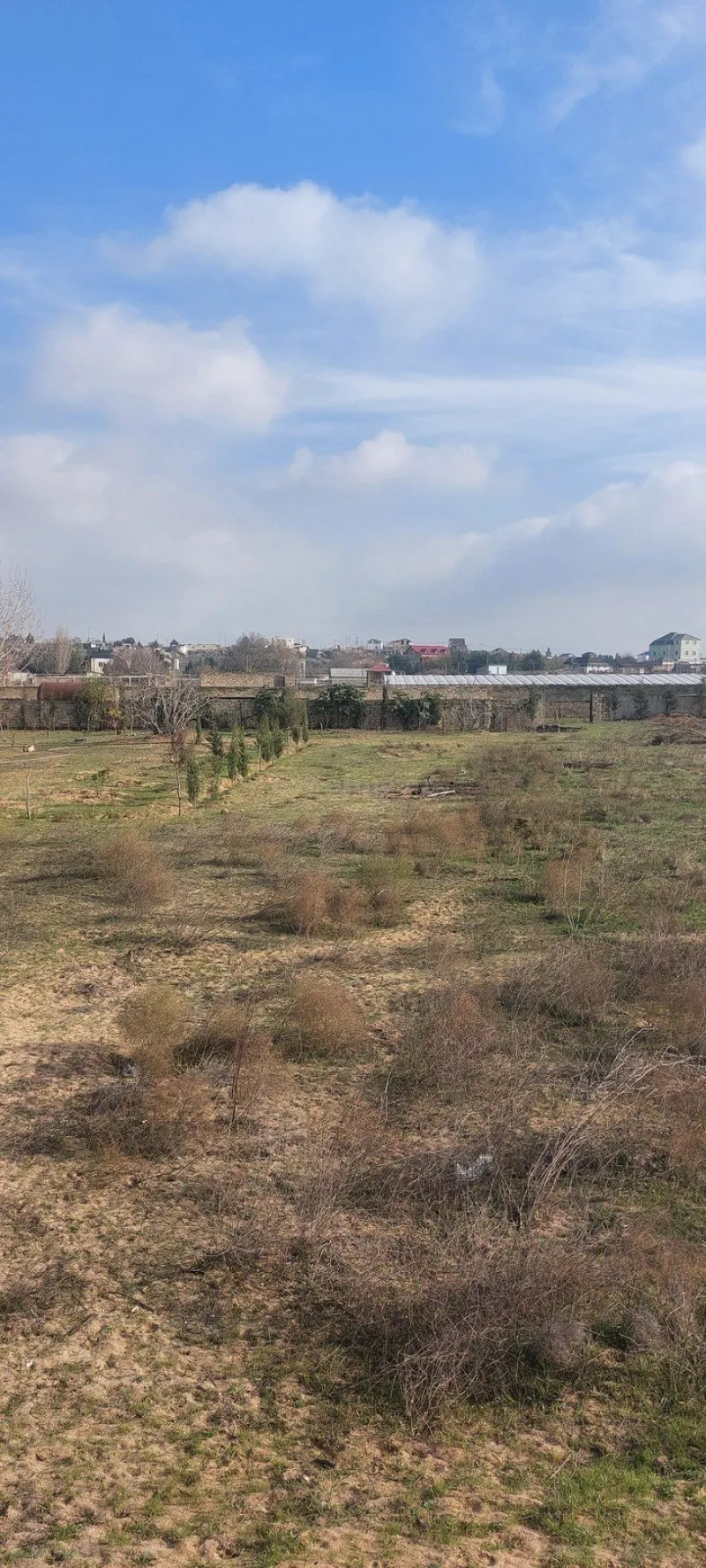 Satılır Torpaq 50 sot Nardaran - şəkil 2