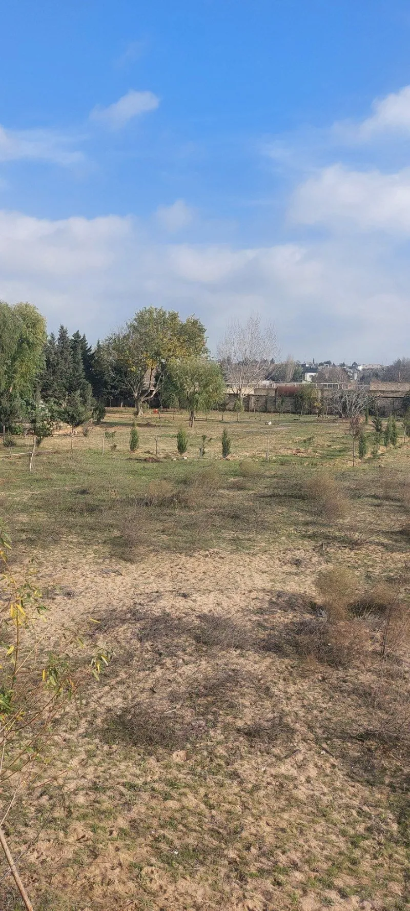 Satılır Torpaq 50 sot Nardaran - şəkil 3