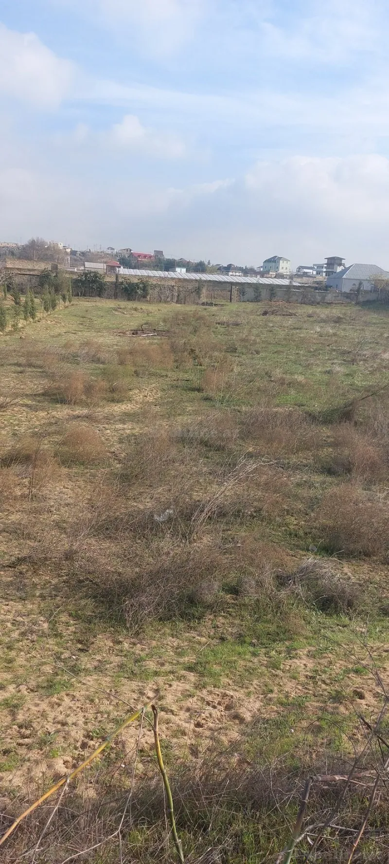 Satılır Torpaq 50 sot Nardaran - şəkil 5