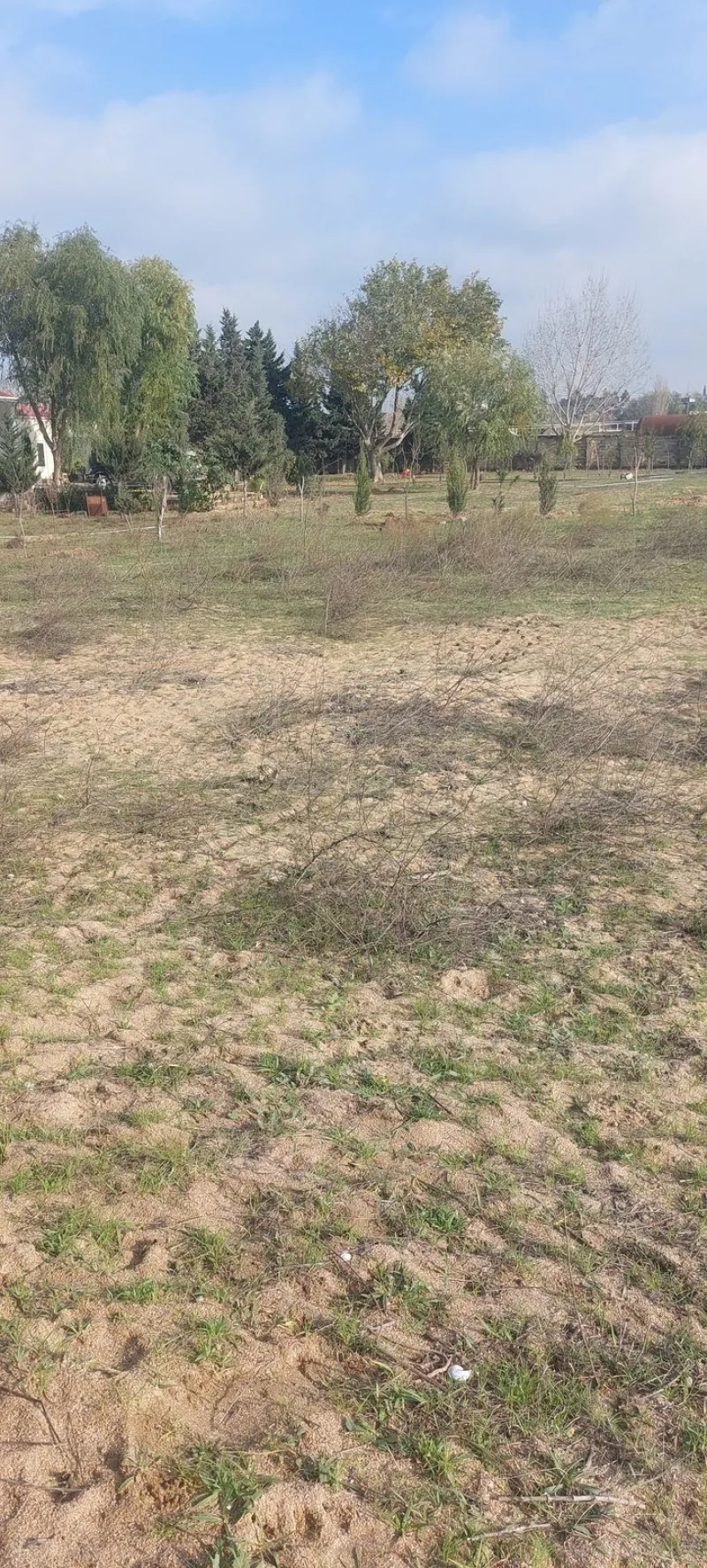 Satılır Torpaq 50 sot Nardaran - şəkil 7