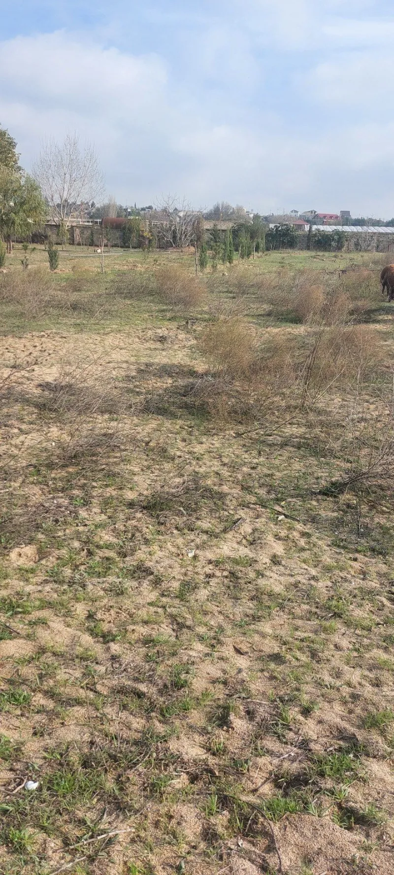 Satılır Torpaq 50 sot Nardaran - şəkil 10