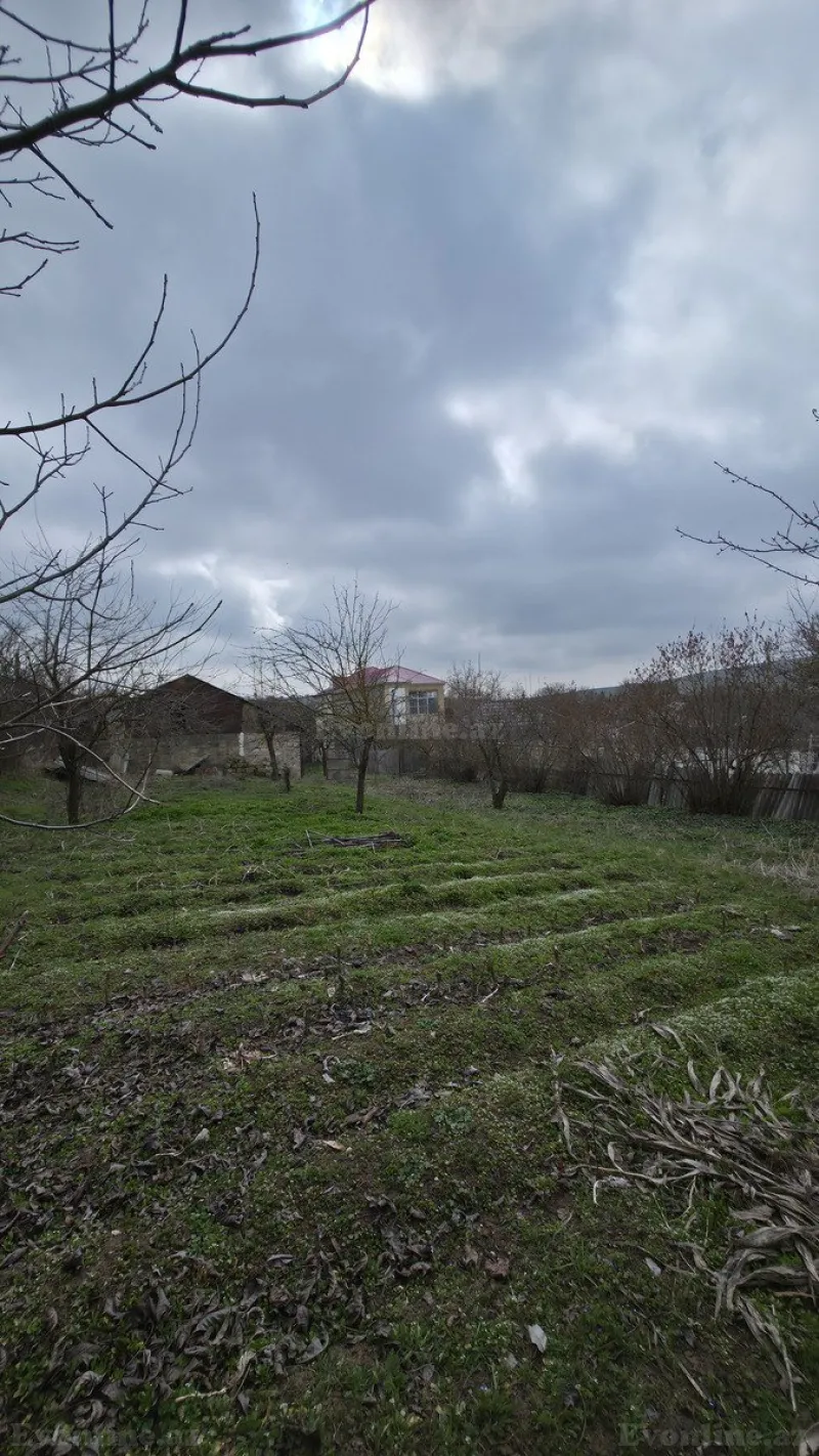 Torpaq Şamaxı Satılır