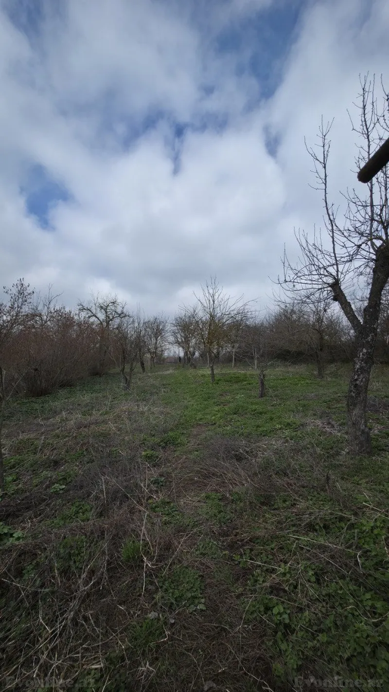 Satılır Torpaq 27 sot Şamaxı - şəkil 14