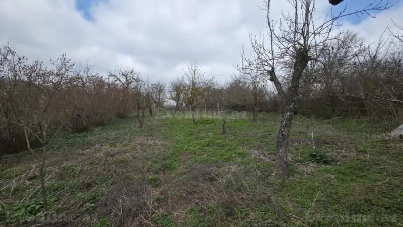 Satılır Torpaq 27 sot Şamaxı - şəkil 16