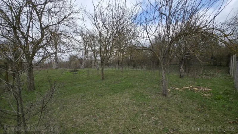 Satılır Torpaq 27 sot Şamaxı - şəkil 18