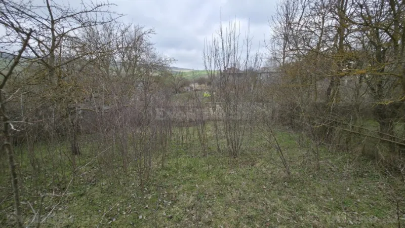 Satılır Torpaq 27 sot Şamaxı - şəkil 22