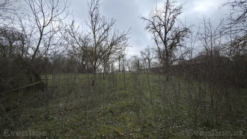 Satılır Torpaq 27 sot Şamaxı - şəkil 23