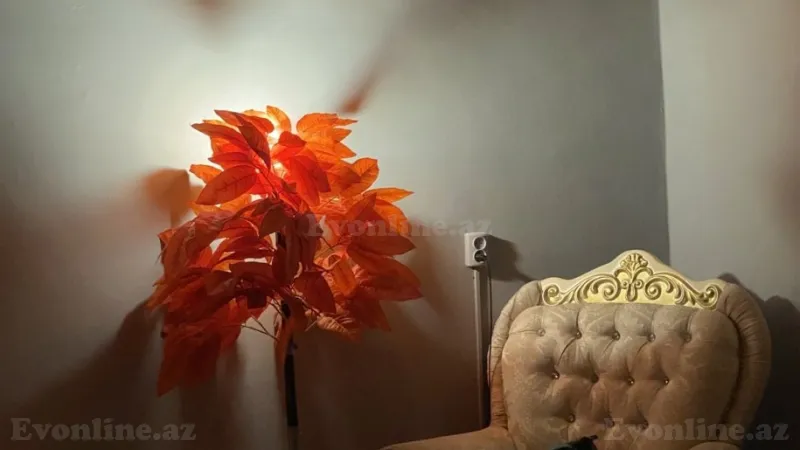 Kirayə verilir 2 otaqlı Mənzil Köhnə tikili 47 m² İçərişəhər m. - şəkil 7