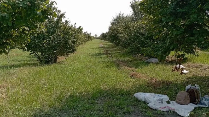 Torpaq Xudat Satılır