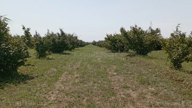 Satılır Torpaq 1.2 sot Xudat - şəkil 7