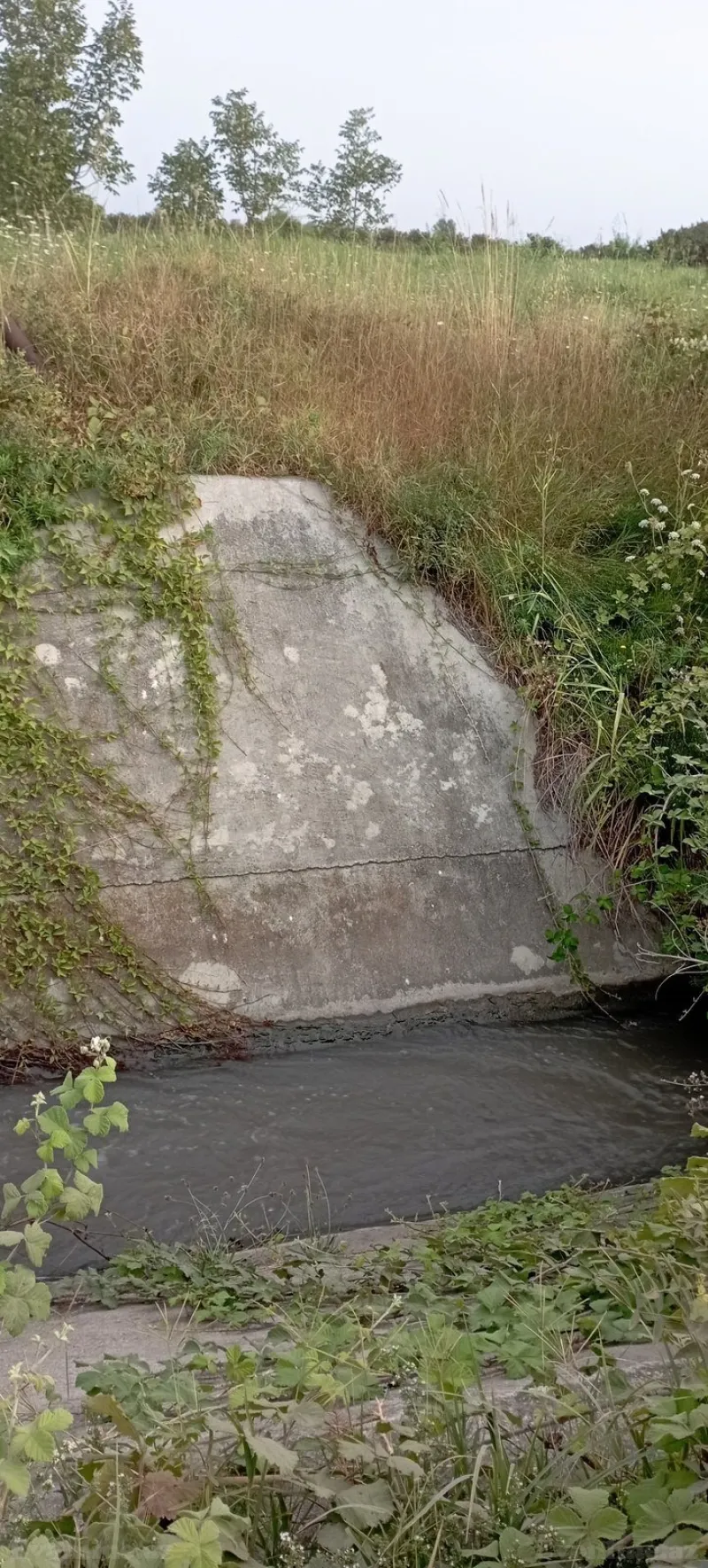 Satılır Torpaq 1.2 sot Xudat - şəkil 8