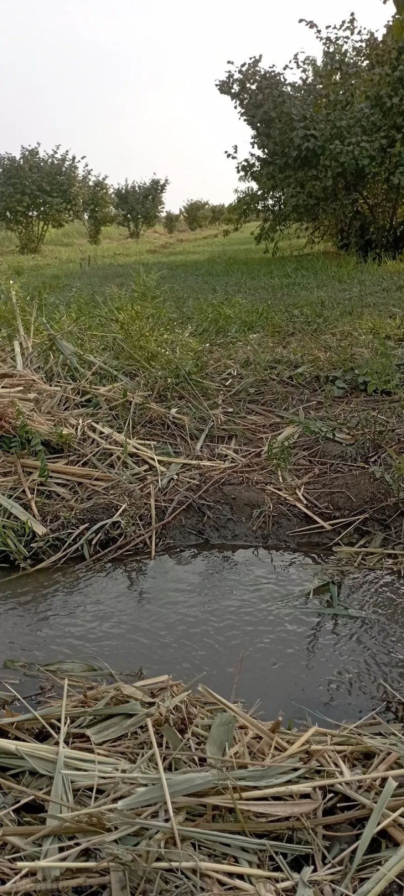 Satılır Torpaq 1.2 sot Xudat - şəkil 9