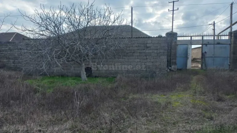 Satılır Torpaq 12 sot Zirə - şəkil 2