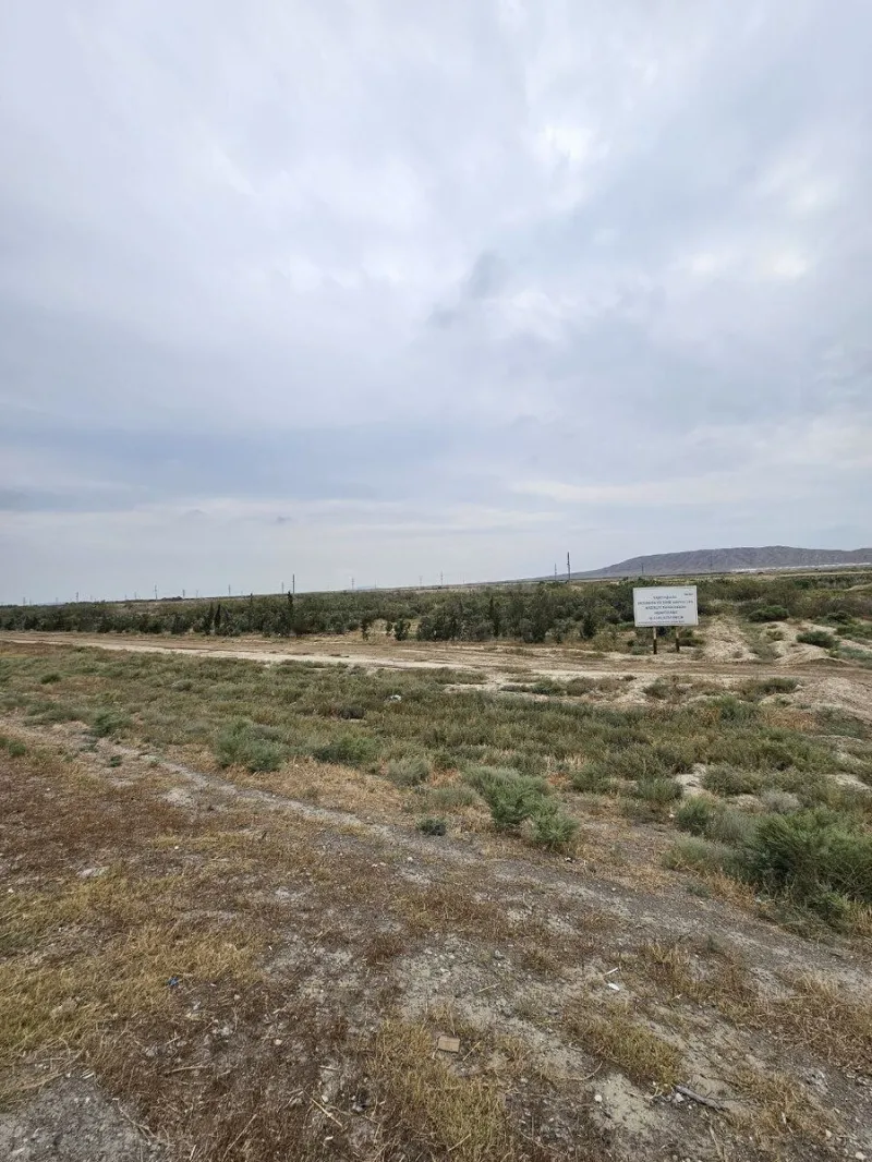 Satılır Torpaq 2000 sot Ələt - şəkil 2