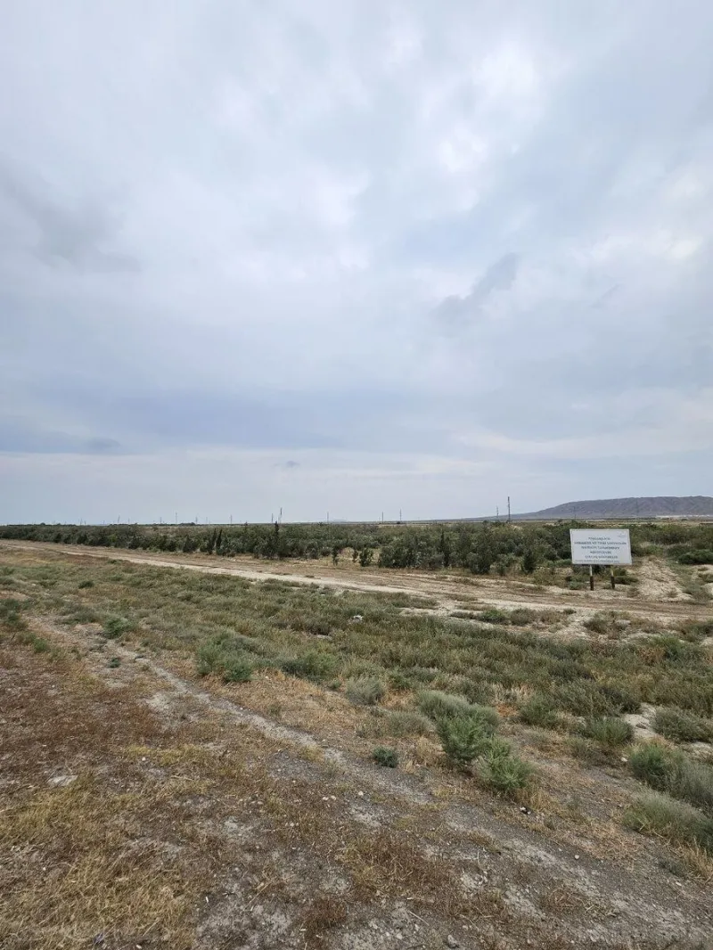 Satılır Torpaq 2000 sot Ələt - şəkil 7