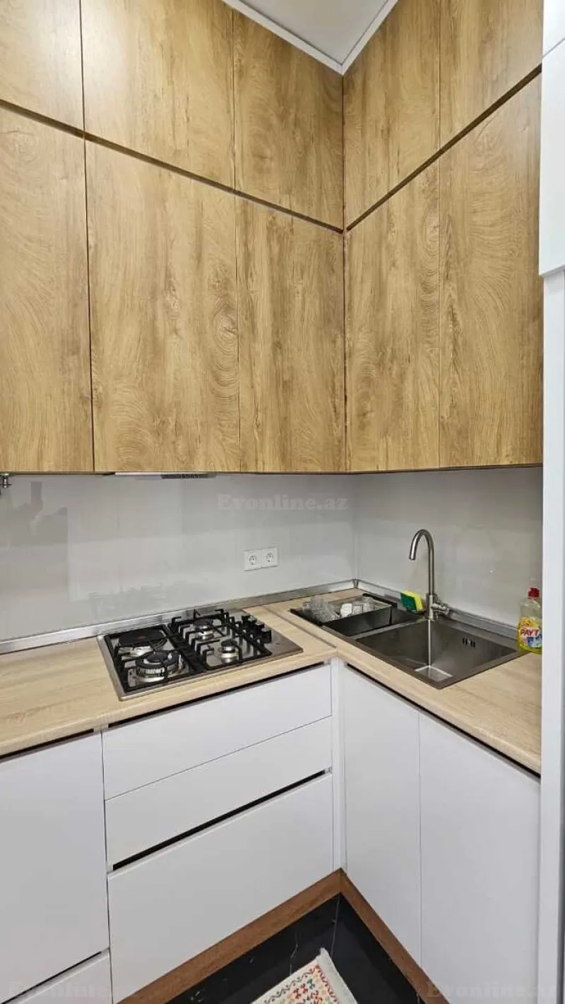 Kirayə verilir 2 otaqlı Mənzil Yeni tikili 56 m² 28 May m. - şəkil 10