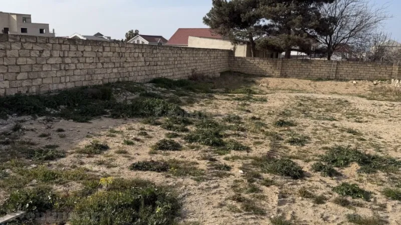 Satılır Torpaq 9 sot Bilgəh - şəkil 3