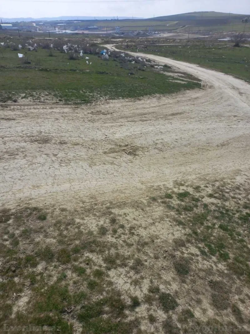 Satılır Torpaq 12 sot Saray - şəkil 2