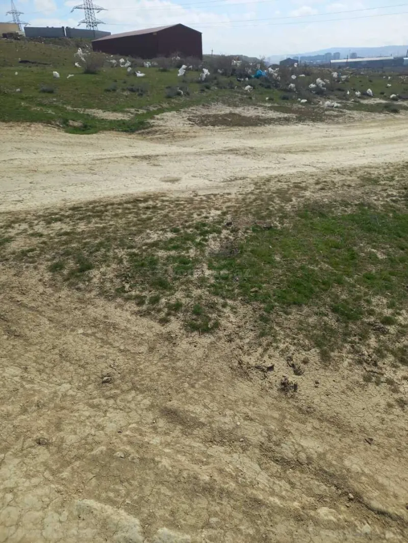 Satılır Torpaq 12 sot Saray - şəkil 5