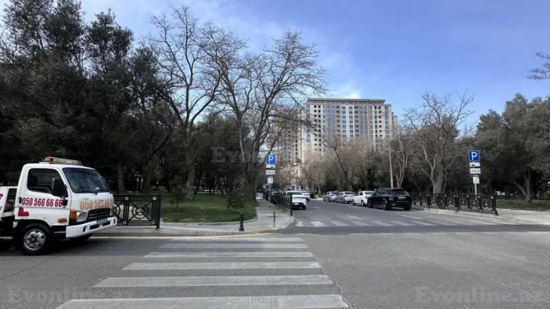 Kirayə verilir 2 otaqlı Mənzil Yeni tikili 49 m² 28 May m. - şəkil 28