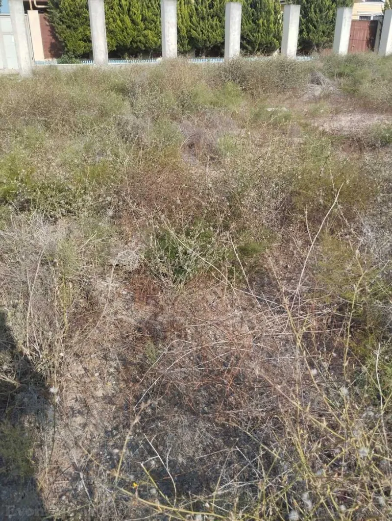 Satılır Torpaq 2 sot Əhmədli m. - şəkil 6