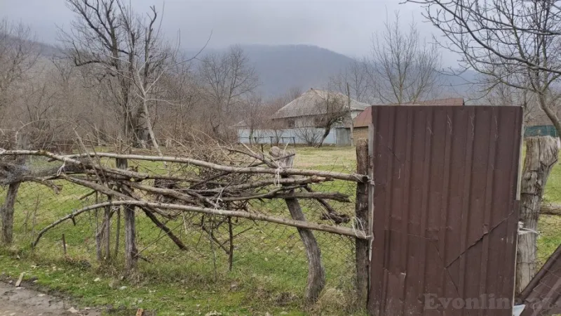 Satılır Torpaq 10 sot Qəbələ - şəkil 3