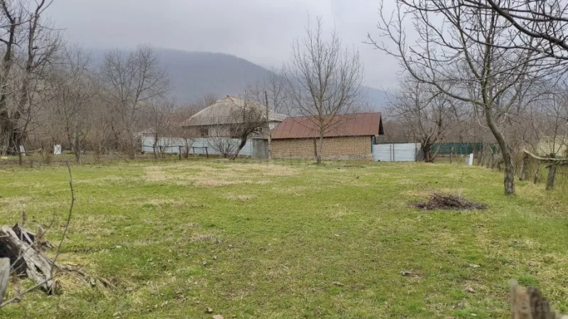 Satılır Torpaq 10 sot Qəbələ - şəkil 4