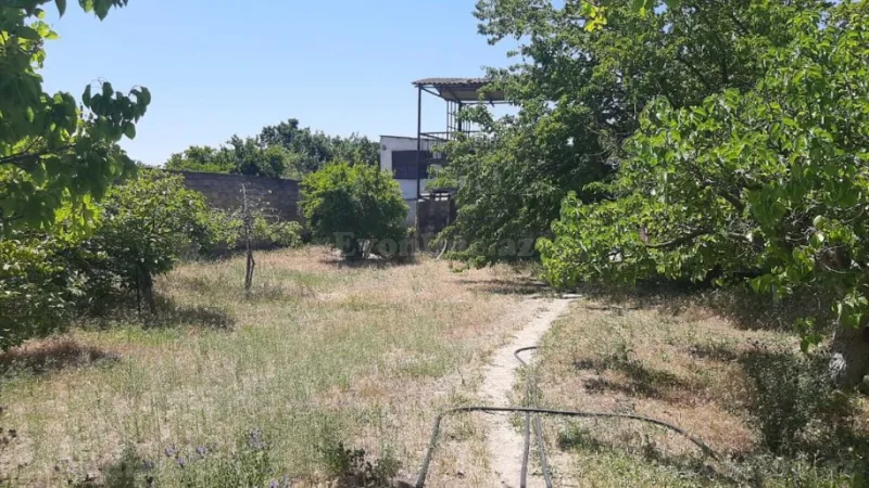 Satılır Torpaq 30 sot Novxanı - şəkil 2