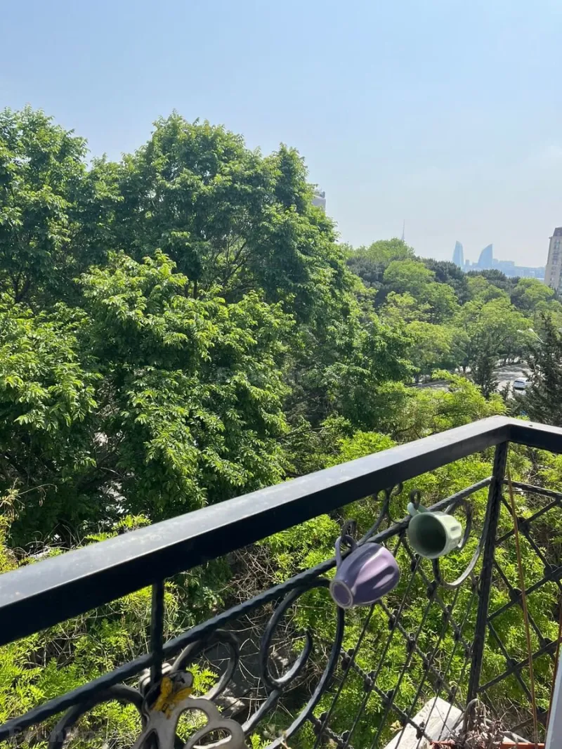 Satılır 4 otaqlı Mənzil Köhnə tikili 100 m² 28 May m. - şəkil 8