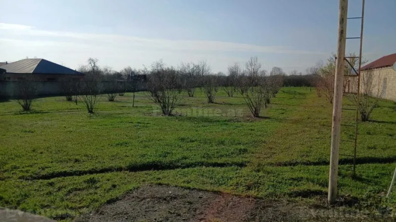 Satılır Torpaq 33 sot Balakən - şəkil 6