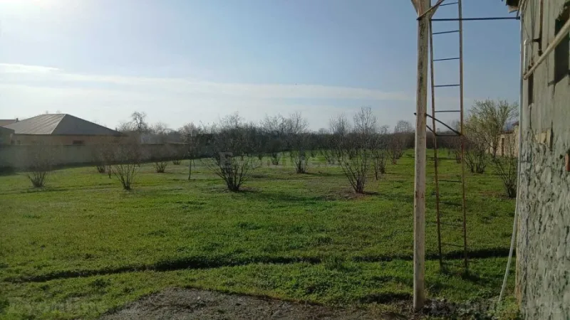 Satılır Torpaq 33 sot Balakən - şəkil 7