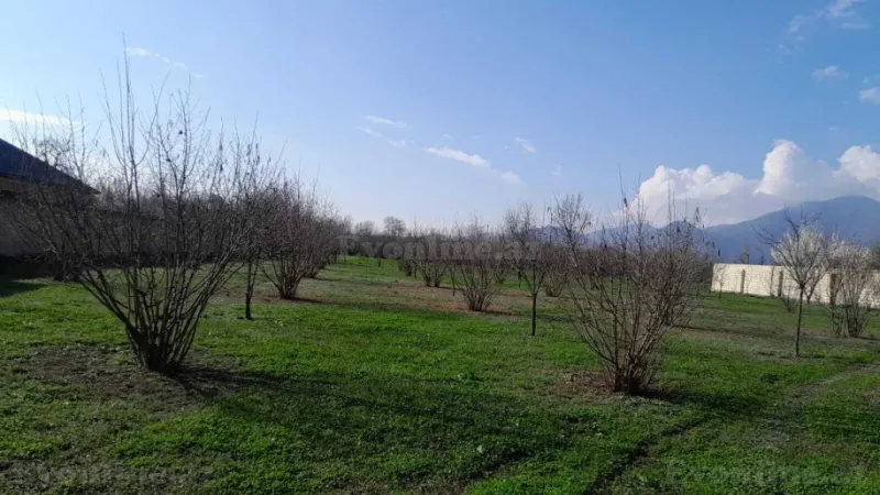 Satılır Torpaq 33 sot Balakən - şəkil 8