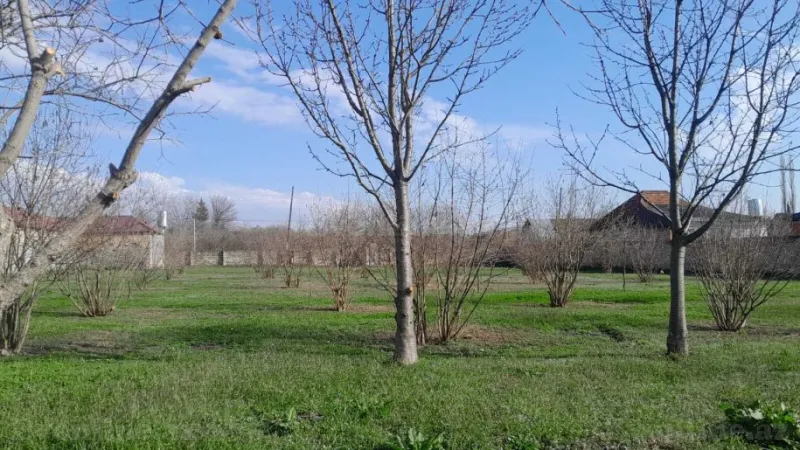 Satılır Torpaq 33 sot Balakən - şəkil 9